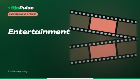 9jaPulse graphic: Entertainment – entertainment & celebs illustration (abstract)