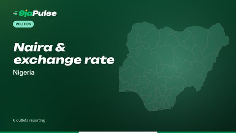9jaPulse graphic: Politics – Naira & exchange rate, Nigeria