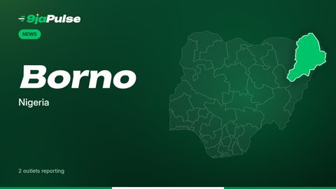 9jaPulse graphic: map of Nigeria highlighting Borno, Nigeria
