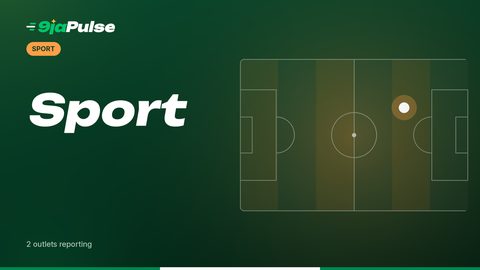 9jaPulse graphic: Sport – sport illustration (abstract)